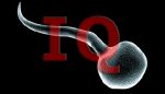 Spermie IQ Spermie IQ